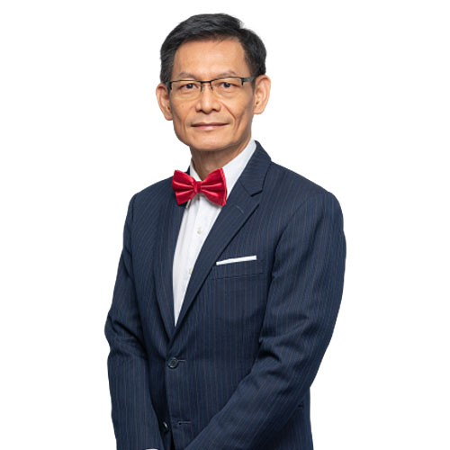 Dr Yap Lok Huei